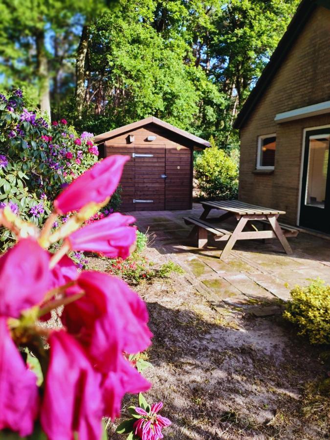 Forest Lodge Vip Luyksgestel 2-6 Personen, Veel Privacy! Luaran gambar