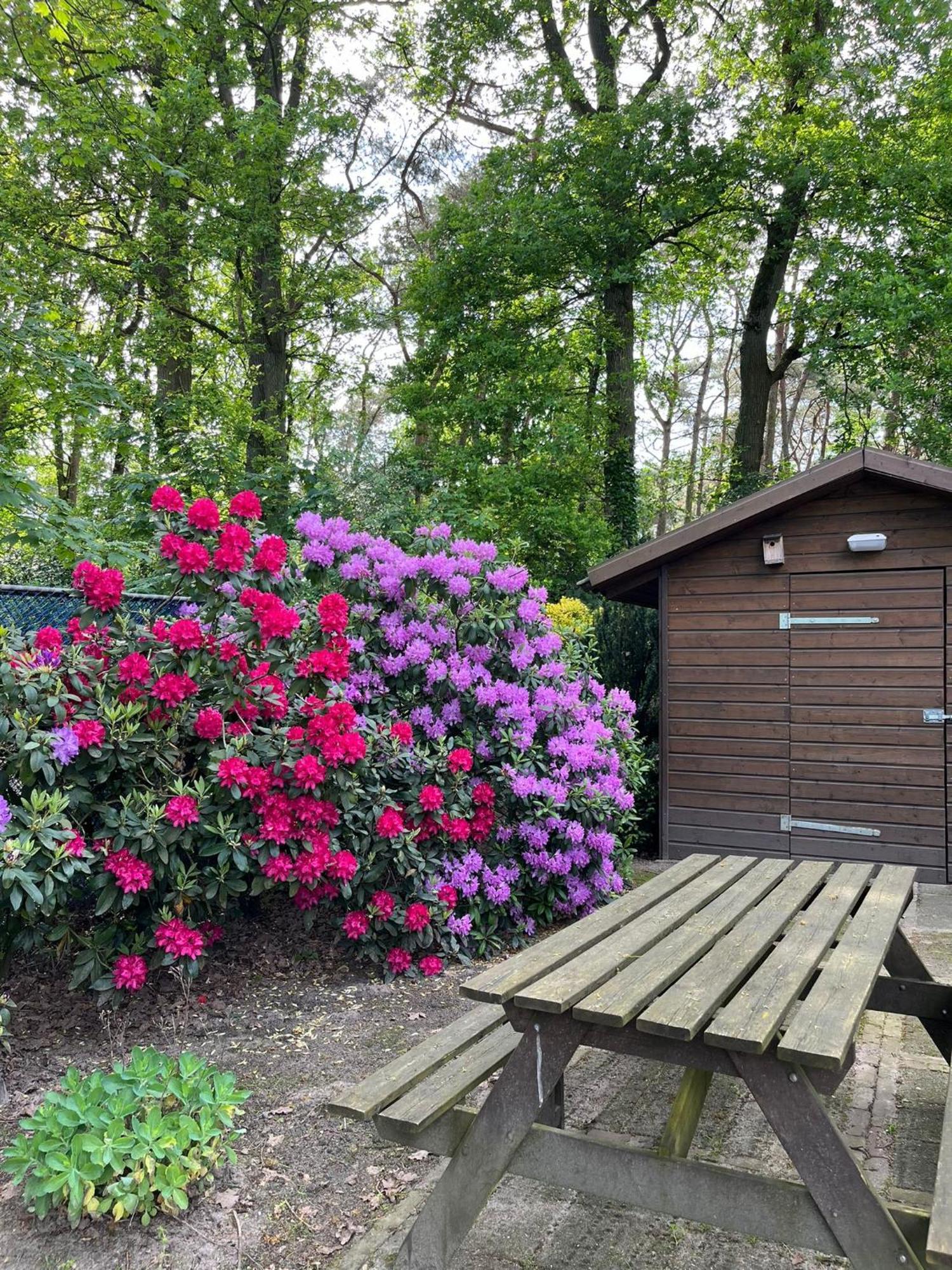 Forest Lodge Vip Luyksgestel 2-6 Personen, Veel Privacy! Luaran gambar